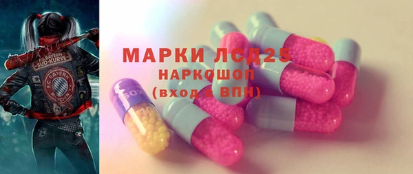 прущие грибы Беломорск