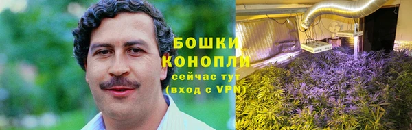 прущие грибы Беломорск